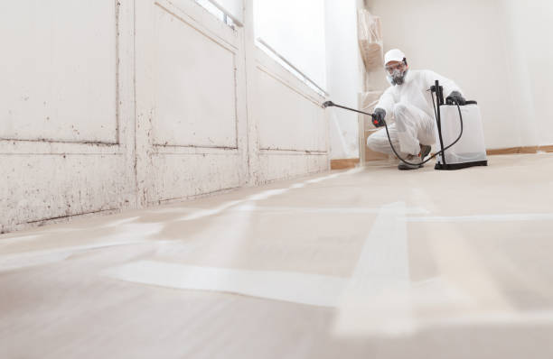 24/7 Emergency Bathroom Mold Removal experts in Canton, TX